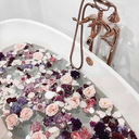 adezsugarr-blog avatar