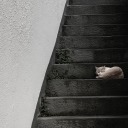 adharanotfound avatar