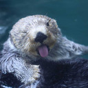 adhd-future-scientist avatar