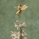 adhdinfluenceddisaster avatar