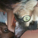 adifferentnormal avatar