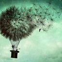 adiosmidulcinea avatar