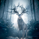 adip-in-theink avatar