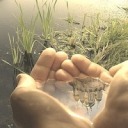 adirtybutthole avatar