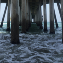 adistraughtthought avatar