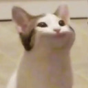 adoctorwithtwohearts avatar