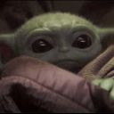 adorableyoda avatar