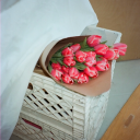 adoracioninfinita avatar