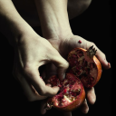 adoration-of-the-gods avatar