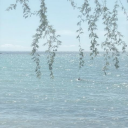 adoreyouusugar avatar