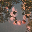 adoringlythin-blog avatar