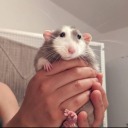 adoseofnostalgia avatar