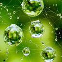 adrainonsociety avatar