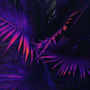 adreamers-dreams avatar