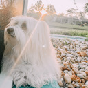 adreamislikeariver avatar