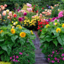 adreeana-xo13 avatar