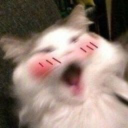 adrianalinepizza avatar