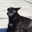 adriangarciagarcia avatar