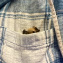 adrianthevampire avatar