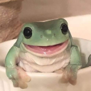 adroablefrog avatar