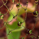 adropofpleasure avatar