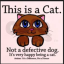 adult-female-with-aspergers avatar