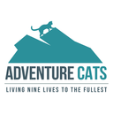 adventurecatsorg avatar