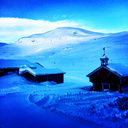 adventuredazing avatar