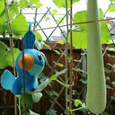 adventures-of-a-mudkip avatar