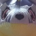 adventures-of-gabumon avatar