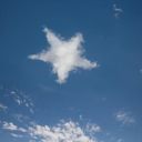 adventures-of-silly-guy avatar