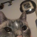 adventures-of-toast avatar