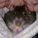 adventuresinthecloset-blog avatar