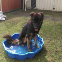 adventuresof-me avatar