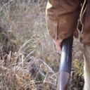 adventuresofanabsentmind-blog avatar