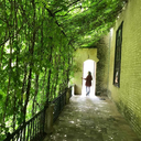 adventuresofanactivemind avatar