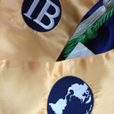 adventuresofanibstudent avatar