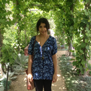 adventuresofavagabond avatar