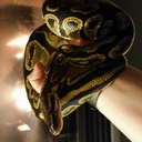 adventureswithanheuser avatar