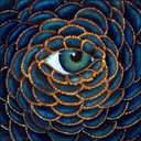 aedera-targaryen avatar