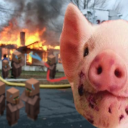 aegisthebrute avatar