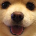 aegyoandtoast avatar