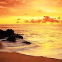 aelenuniverse-blog avatar