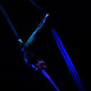 aerial-skull-progress avatar