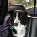 aerieearthandsea avatar