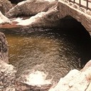 aerielmiranda avatar