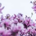 aerisuggestions avatar