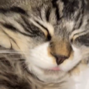 aerxplanemxde avatar