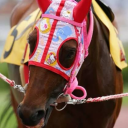 aestheti-kitty avatar