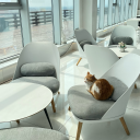 aesthetic-admirer avatar